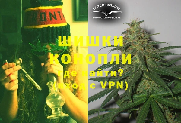 PSILOCYBIN Новокубанск
