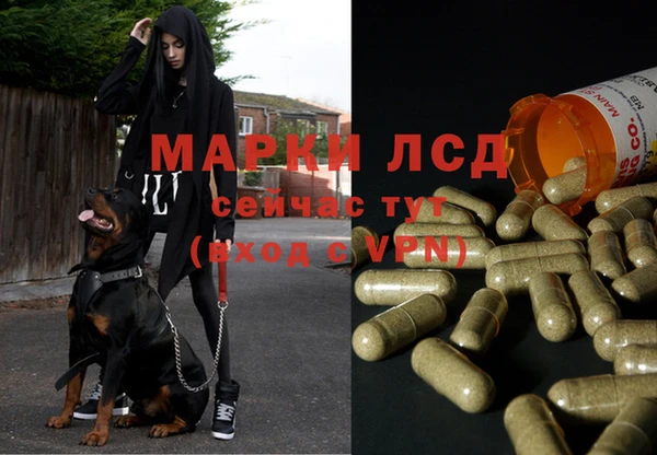 PSILOCYBIN Новокубанск