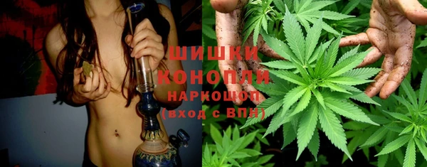 ПСИЛОЦИБИНОВЫЕ ГРИБЫ Новодвинск