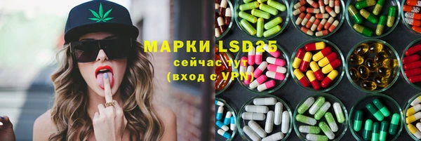 PSILOCYBIN Новокубанск