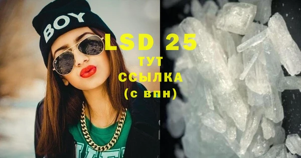 PSILOCYBIN Новокубанск