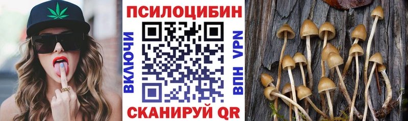 наркота  Сорск  Галлюциногенные грибы мицелий 
